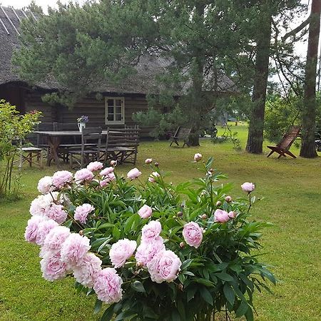 Maenni Summerhouse Kassari Екстер'єр фото